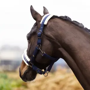 Halter for horse Imperial Riding Jewel image-2