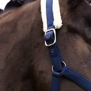 Halter for horse Imperial Riding Jewel image-3