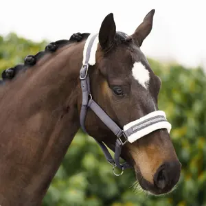 Halter for horse Imperial Riding Jewel image-1
