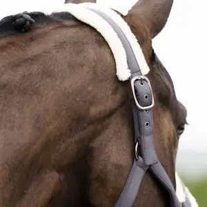 Halter for horse Imperial Riding Jewel image-3
