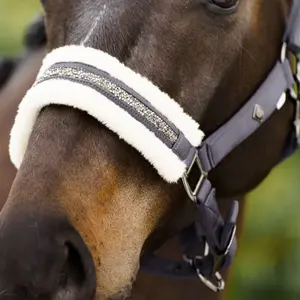 Halter for horse Imperial Riding Jewel image-4