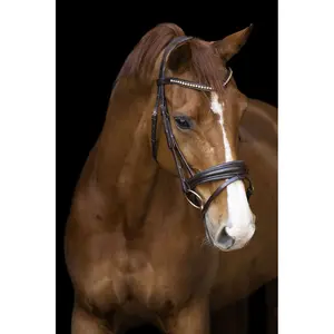 Riding Bridle + Noseband Imperial Riding Fria image-1