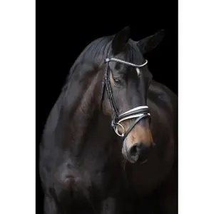 Riding Bridle + Noseband Imperial Riding Fria image-1
