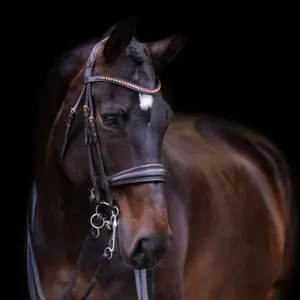 Hoofdstel Imperial Riding Fria image-1