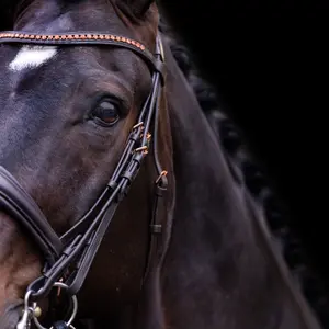 Hoofdstel Imperial Riding Fria image-3