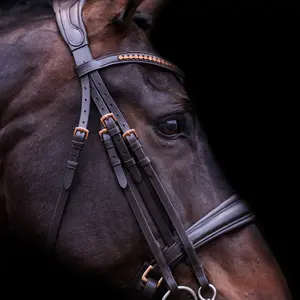 Hoofdstel Imperial Riding Fria image-2