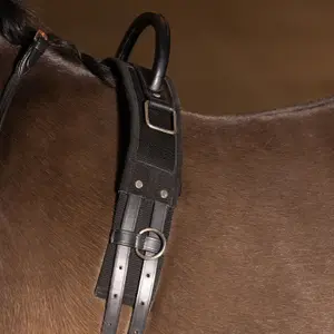 Horse girth Imperial Riding Vito image-2