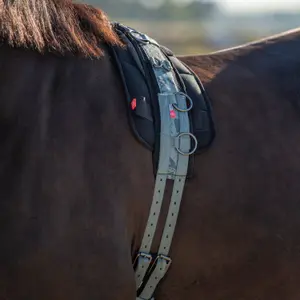 Pracovní deska pro koně Imperial Riding Ambient image-1