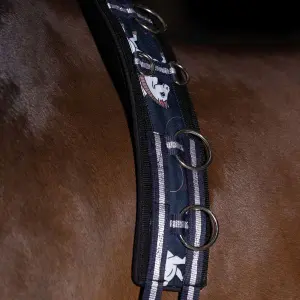 Horse lanyard accessory Imperial Riding Pandora image-0