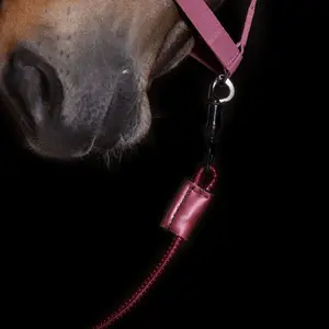 Elastic Rope Imperial Riding Elastisch image-0