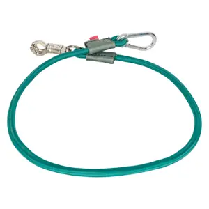 Longe élastique attache pour camion Imperial Riding image-0