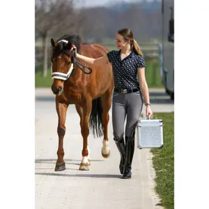 Skötselbox Imperial Riding Shiny image-2