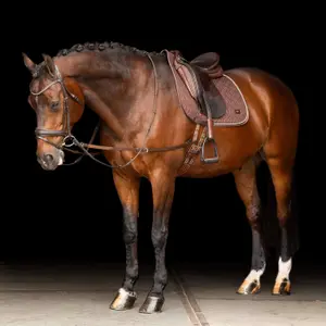 Leather horse reins Imperial Riding image-2