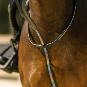Martingale for horse Imperial Riding Rainbow image-1
