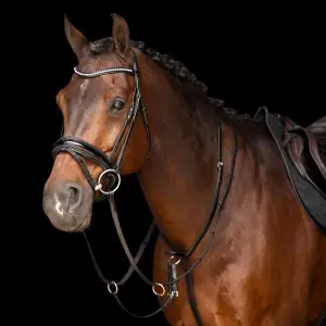 Martingale for horse Imperial Riding Core image-1