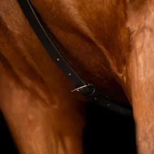 Martingale for horse Imperial Riding Core image-4