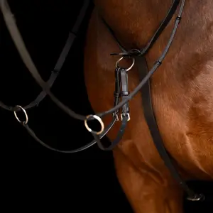 Martingale for horse Imperial Riding Core image-1