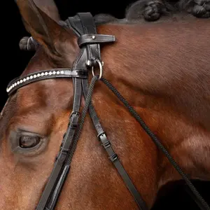 Enrênement pour longe cheval Imperial Riding Core image-2