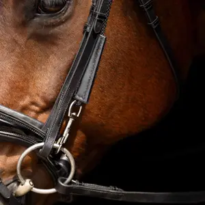 Enrênement pour longe cheval Imperial Riding Core image-3