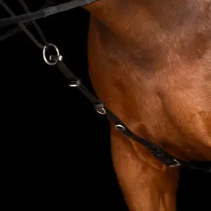 Enrênement pour longe cheval Imperial Riding Core image-4