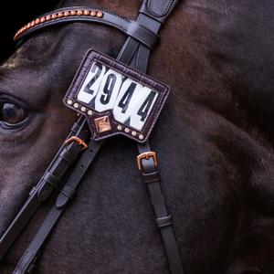 Nummer Reiten des Wettbewerbs Imperial Riding Show and Glow image-1