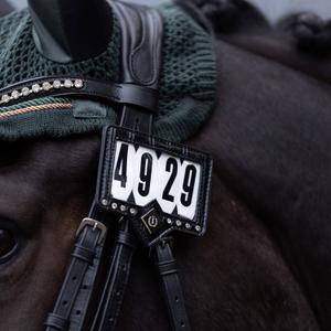 Nummer Reiten des Wettbewerbs Imperial Riding Show and Glow image-2