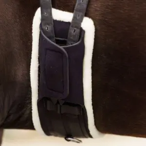 Ιππαστική ζώνη εκπαίδευσης Imperial Riding Comfort image-2