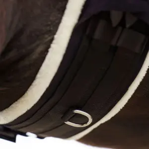 Ιππαστική ζώνη εκπαίδευσης Imperial Riding Comfort image-3