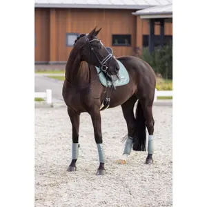 Tapis de selle de dressage pour cheval Imperial Riding Sky image-1