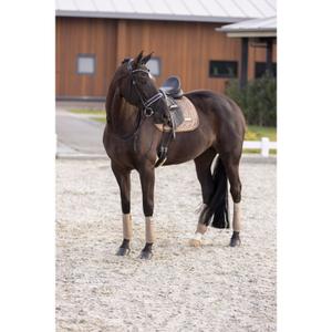 Dressursattelunterlage für Pferde Imperial Riding Sky image-1