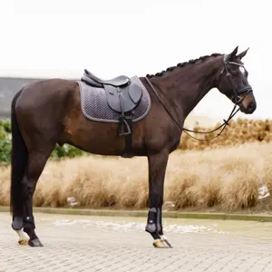 Saddle pad for horses Imperial Riding Shadow image-1