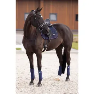 Tapis de selle de dressage pour cheval Imperial Riding Sky image-1