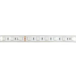 Bande LED SMD RGB Indeluz lighting Nilo IP67 image-1