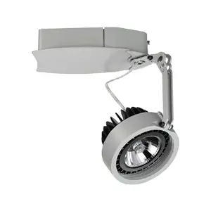 Podświetlany reflektor Indeluz lighting Haiti COB 2250lm CRI85 4000K 14º
