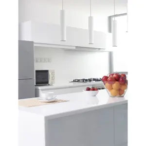 Hanging lamp Indeluz lighting Dube COB 1250lm(718lm) CRI80 3000K 32º image-1