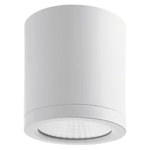 Surface Light Indeluz lighting Buis IP54 COB 14W 1422lm CRI80 4000K 50º image-0