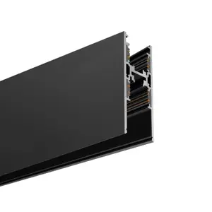 Rail Indeluz lighting Carril Track 2x77 image-0