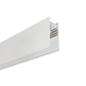 Rail Indeluz lighting Carril Track 2x53 image-0