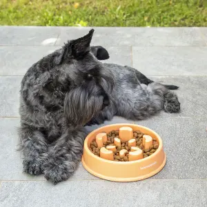 Kom voor langzaam etende honden InnovaGoods Slowfi image-3