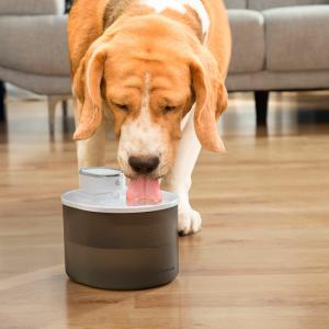 v0103842-rechargeable-water-fountain-for-cats-with-sensor-innovagoods-refopet-white-grey-one-size