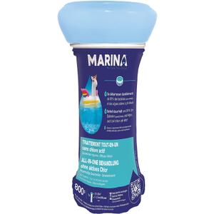 Accessoires piscine traitement diffuseur SS CHL Innovative Water Care