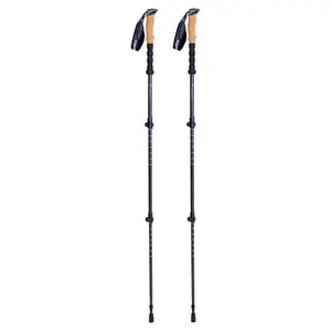 Carbon Hiking Pole 3 Pieces Insportline Portello