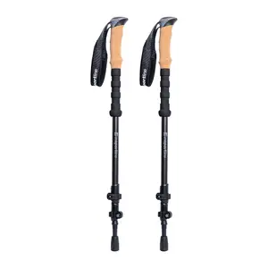 Carbon Hiking Pole 3 Pieces Insportline Portello image-1