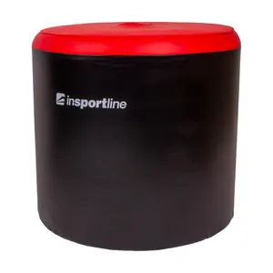 Boxing Trainer Insportline Boxheist Fix image-0