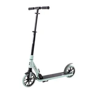 Scooter Insportline Wayomint
