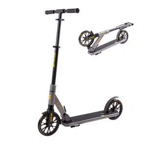 Scooter Insportline Wayotan
