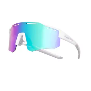 Polarized and Photochromic Sunglasses Insportline Molineto