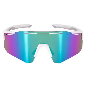 Polarized and Photochromic Sunglasses Insportline Molineto image-1