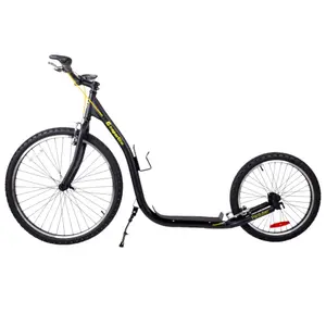 Scooter Insportline Parduber