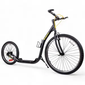 Scooter Insportline Parduber image-1